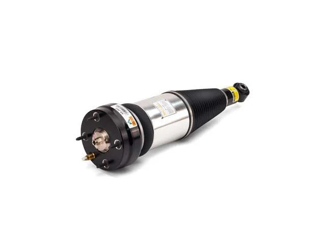 Arnott Industries Shock Absorber AS-2891 - Installation View