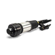 Load image into Gallery viewer, Arnott Industries Shock Absorber AS-3000 - Installation View