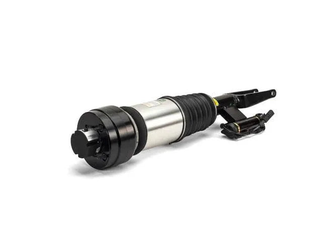 Arnott Industries Shock Absorber AS-3000 - Installation View