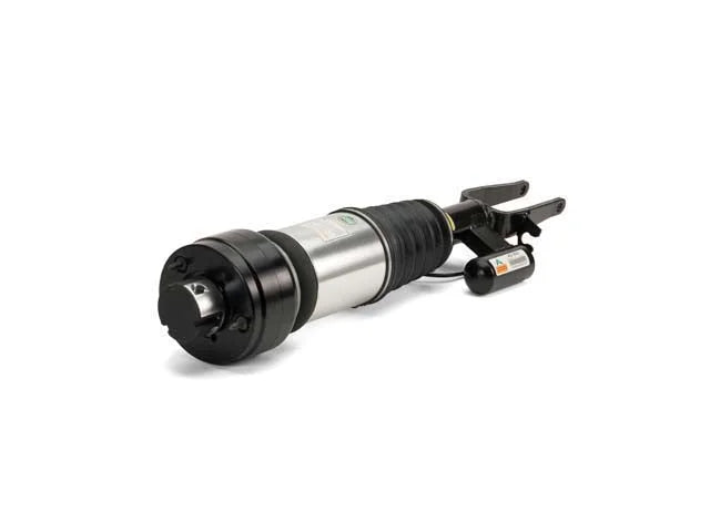 Arnott Industries Shock Absorber AS-3001 - Installation View