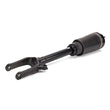 Load image into Gallery viewer, Arnott Industries Shock Absorber AS-3005 - Side View