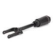 Load image into Gallery viewer, Arnott Industries Shock Absorber AS-3005 - Side View