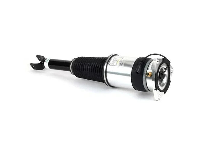 Arnott Industries Shock Absorber AS-3030 - Installation View