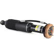 Load image into Gallery viewer, Arnott Industries Shock Absorber SK-2412 - Side View