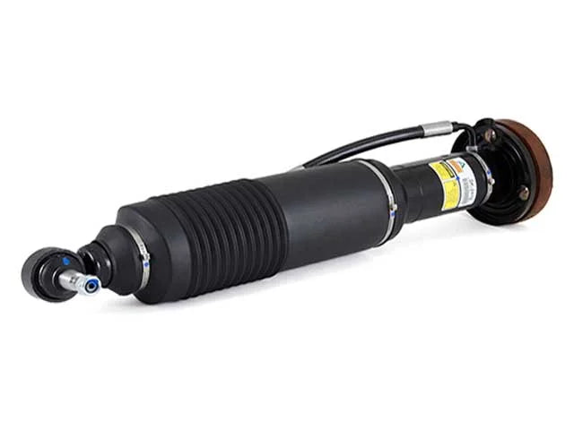 Arnott Industries Shock Absorber SK-2413 - Main Product View