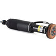 Load image into Gallery viewer, Arnott Industries Shock Absorber SK-2413 - Side View