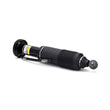 Load image into Gallery viewer, Arnott Industries Shock Absorber SK-2417 - Detail View