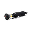 Load image into Gallery viewer, Arnott Industries Shock Absorber SK-2417 - Side View