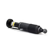 Load image into Gallery viewer, Arnott Industries Shock Absorber SK-2417 - Detail View