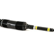Load image into Gallery viewer, Arnott Industries Shock Absorber SK-2460 - Side View