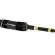 Load image into Gallery viewer, Arnott Industries Shock Absorber SK-2460 - Side View