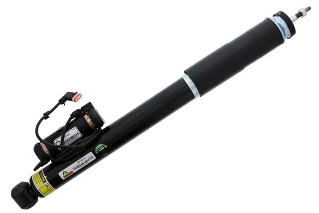 Arnott Industries Shock Absorber SK-3012