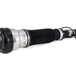 Load image into Gallery viewer, Arnott Industries Strut AS-2193