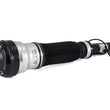 Load image into Gallery viewer, Arnott Industries Strut AS-2193