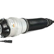 Load image into Gallery viewer, Arnott Industries Strut AS-2563 - Main Product View