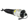 Load image into Gallery viewer, Arnott Industries Strut AS-2563 - Side View