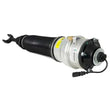 Load image into Gallery viewer, Arnott Industries Strut AS-2563 - Side View