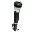 Load image into Gallery viewer, Arnott Industries Strut AS-2605