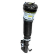 Load image into Gallery viewer, Arnott Industries Strut AS-2605