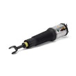 Load image into Gallery viewer, Arnott Industries Strut AS-2775 - Side View