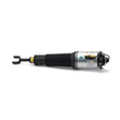 Load image into Gallery viewer, Arnott Industries Strut AS-2775 - Installation View