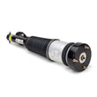 Load image into Gallery viewer, Arnott Industries Strut AS-2820 - Main Product View