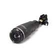 Load image into Gallery viewer, Arnott Industries Strut AS-2961 - Main Product View