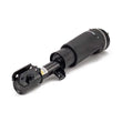 Load image into Gallery viewer, Arnott Industries Strut AS-2961 - Side View