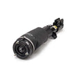 Load image into Gallery viewer, Arnott Industries Strut AS-2962 - Main Product View