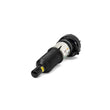 Load image into Gallery viewer, Arnott Industries Strut AS-3312 - Side View