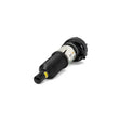 Load image into Gallery viewer, Arnott Industries Strut AS-3312 - Side View