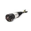 Load image into Gallery viewer, Arnott Industries Strut Assembly AS-2888 - Main Product View