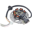 Load image into Gallery viewer, Arrowhead  Eton RXL 50M MINI (EURO) Stator Coil