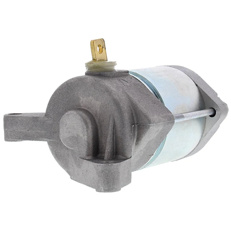Arrowhead Mitsuba 12V 9T Str - Back View