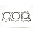 Load image into Gallery viewer, Athena 09-16 Kawasaki KX 250 F Race Gasket Kit