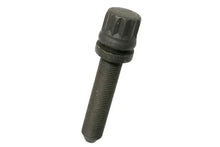 Load image into Gallery viewer, Audi Crankshaft Pulley Bolt 078-105-229 D