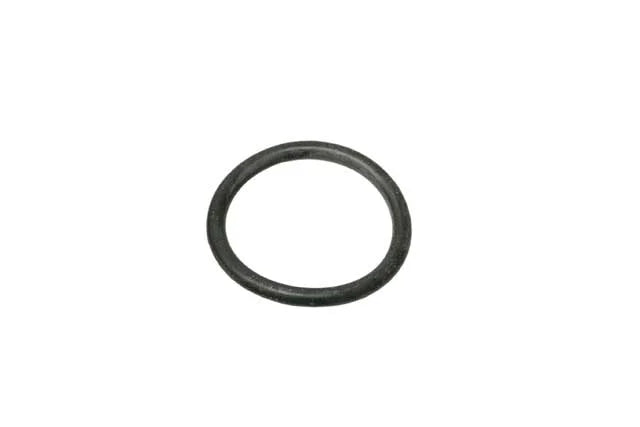 Audi Thermostat Seal WHT-000-862