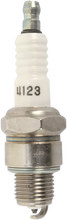 Load image into Gallery viewer, Autolite Spark Plug - #4123 - Main Product View