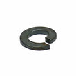 Load image into Gallery viewer, AuvecoSteel Lock Washer17396