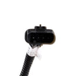Load image into Gallery viewer, BBK 16-20 GM Camaro 6.2L SS Manual Trans O2 Sensor Wire Harness Extensions (Front) - Back View
