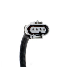 Load image into Gallery viewer, BBK 16-20 GM Camaro 6.2L SS Manual Trans O2 Sensor Wire Harness Extensions (Rear) - Side View