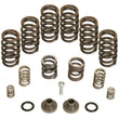 Load image into Gallery viewer, BD Diesel Governor Spring Kit 4000rpm - 1994-1998 Dodge 12-valve/P7100 Pump - Main Product View