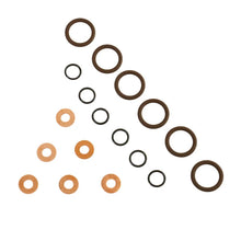 Load image into Gallery viewer, BD Diesel ISB Injector Seal Kit - Dodge 1998.5-2002 5.9L 24-valve - Main Product View