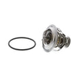 Load image into Gallery viewer, BEHR Thermostat TX 117 95D