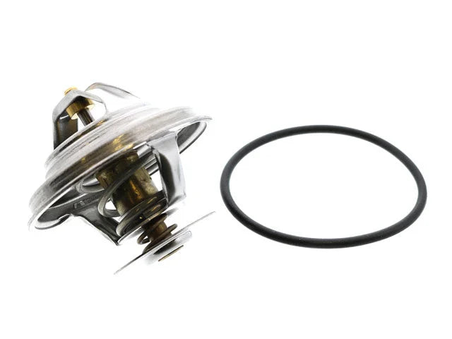 BEHR Thermostat TX 25 87D