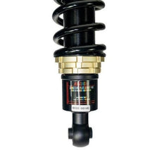 Load image into Gallery viewer, BLOX Racing 02-05 Rsx/01-05 Civic Plus Series Fully Adjustable Coilovers - Back View