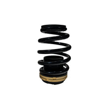 Load image into Gallery viewer, BLOX Racing 12-13 Honda Civic SI Plus Series Fully Adjustable Coilovers - Main Product View
