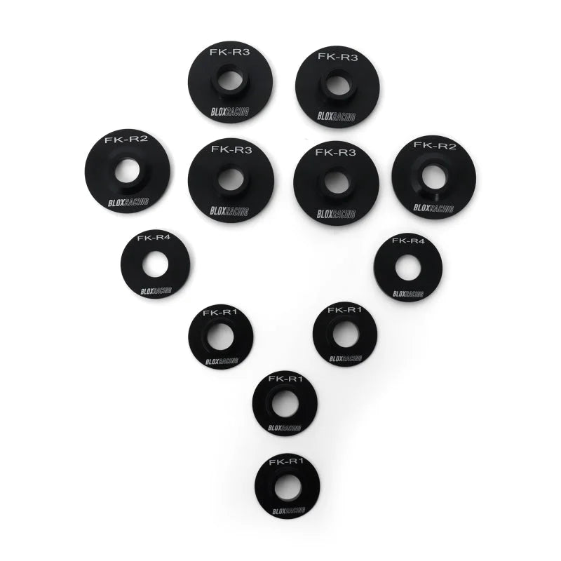 BLOX Racing 16-21 FK Civic - Rear - 12 Pieces Subframe Hard Collar Kit - Back View