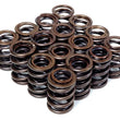 Load image into Gallery viewer, BLOX Racing Dual Valve Springs fits 2002-2008 Acura RSX / RSX Type-S / TSX / 2003-2005 Honda Accord DX - Side View