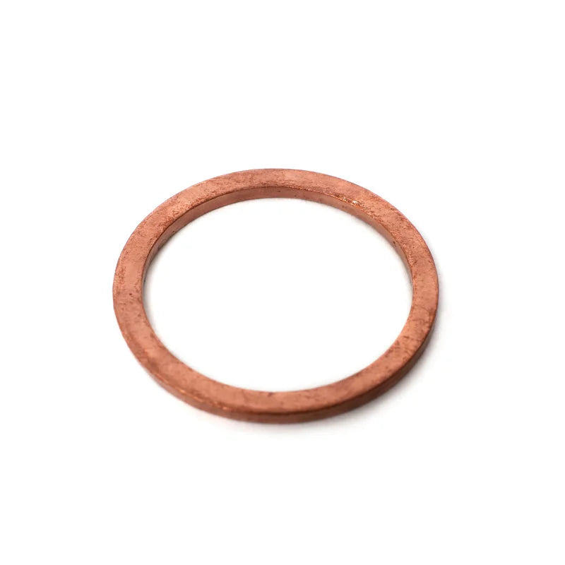 BLOX Racing Fuel Inlet Fitting Crush Washers - 2 Pack - Main Product View